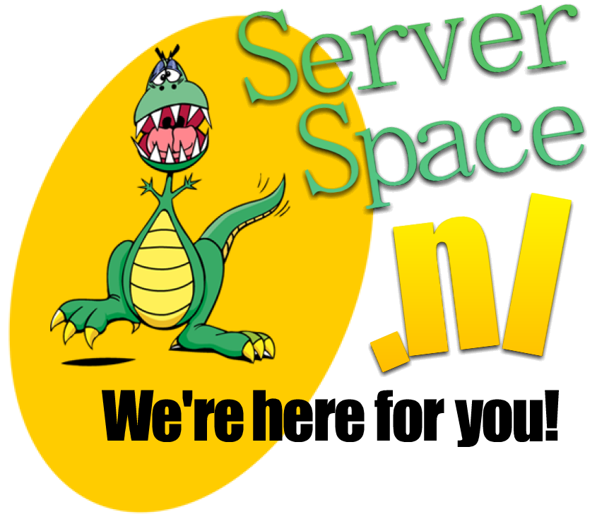 Server Space SEO hosting